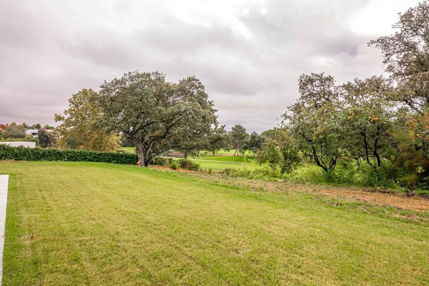 9d41ed747ae07de7525a3224a3784e57 829ae9258e 1500 original - Attribut alt par défaut.