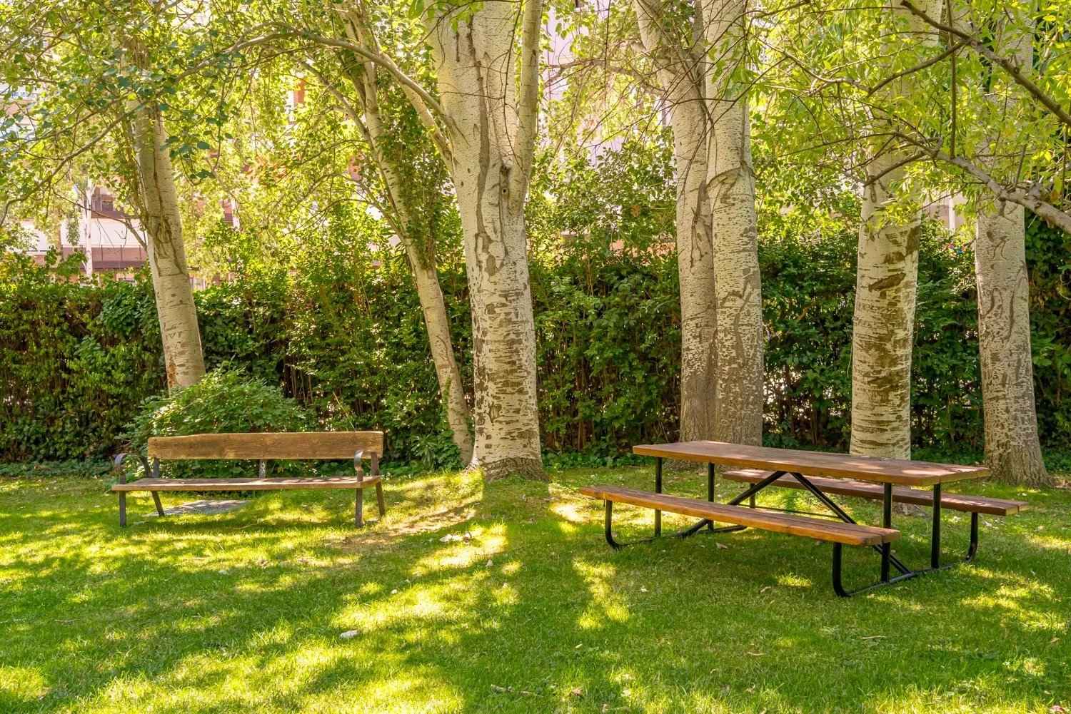 D7c7a54c6369646cda652d6a4348a0fd f9cab2f5a9 1500 original - Attribut alt par défaut.