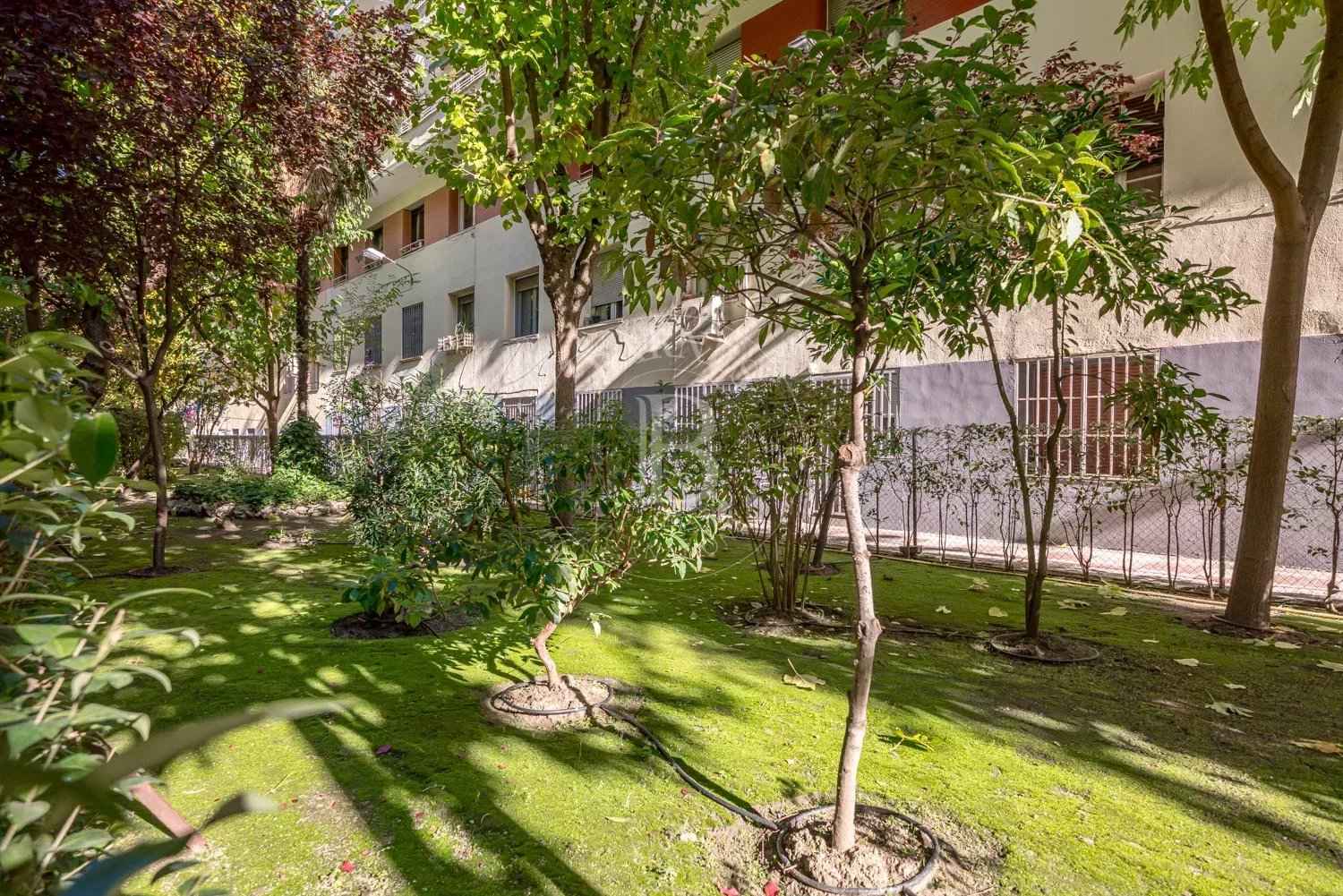 656fc9ab5510fd76712841cb74a62102 53e5007535 1500 original - Translation missing: en.helpers.application.image_tag.default_alt