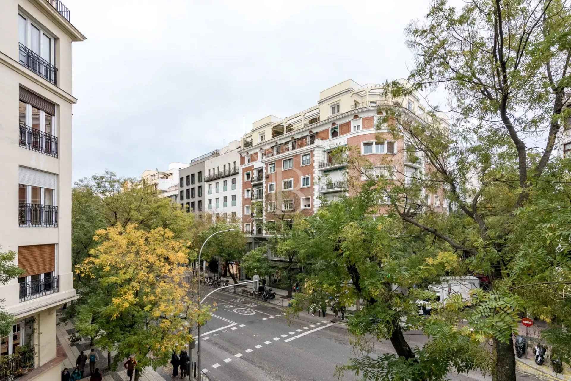 B8d19af05a6d6aebd8e6a0dc90977514 c59bb1041d 1920 original - Translation missing: en.helpers.application.image_tag.default_alt