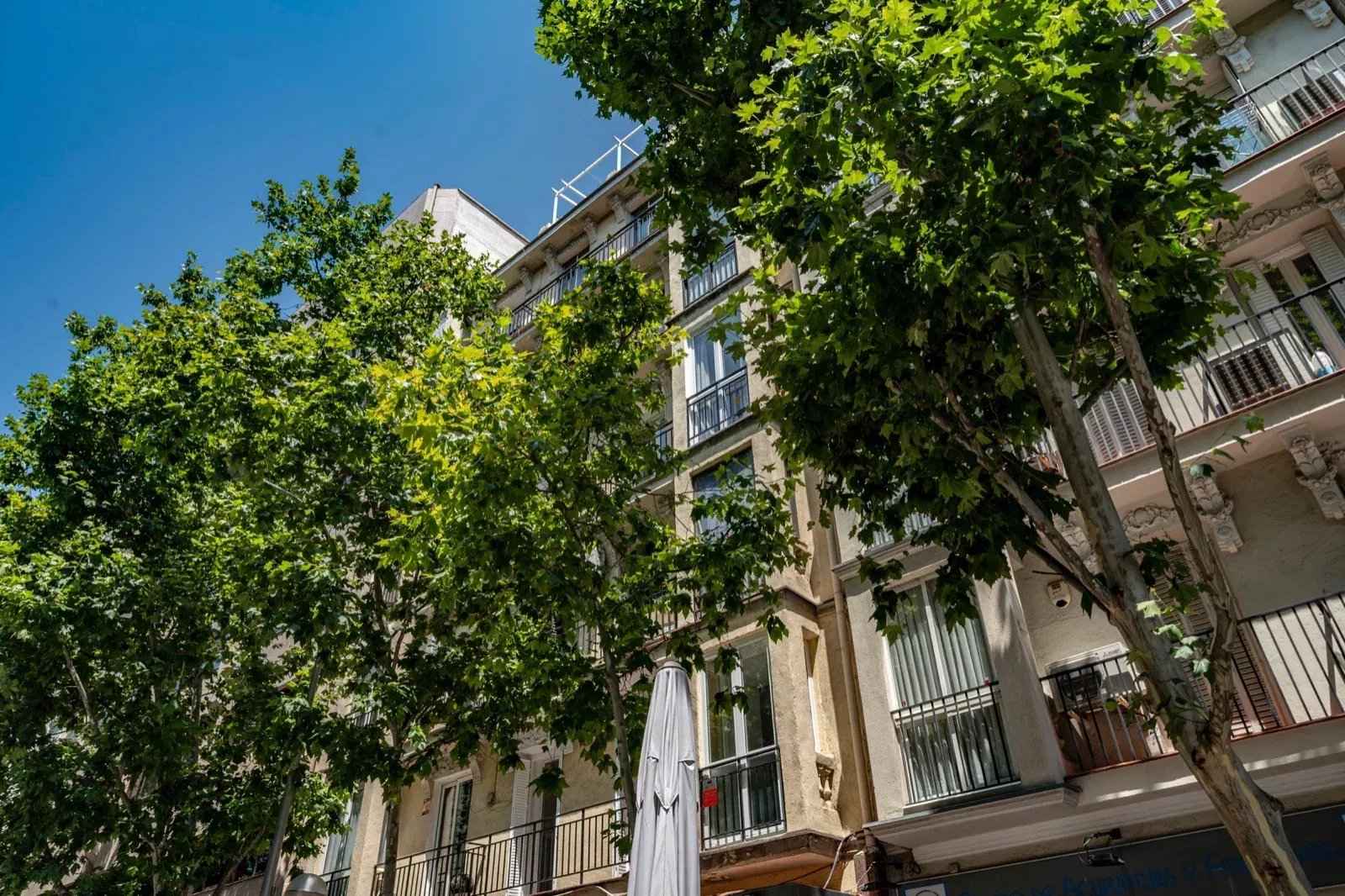 11c1a55949cdfe755102e8e671ab6a5c 207a245f35 1600 original - Attribut alt par défaut.