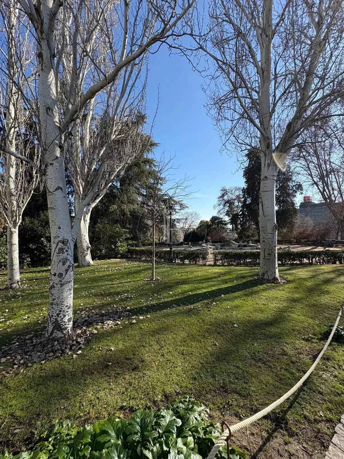 E526f66a8a7189b73c17e452d5c62d84 50a3af46fd 1600 original - Attribut alt par défaut.