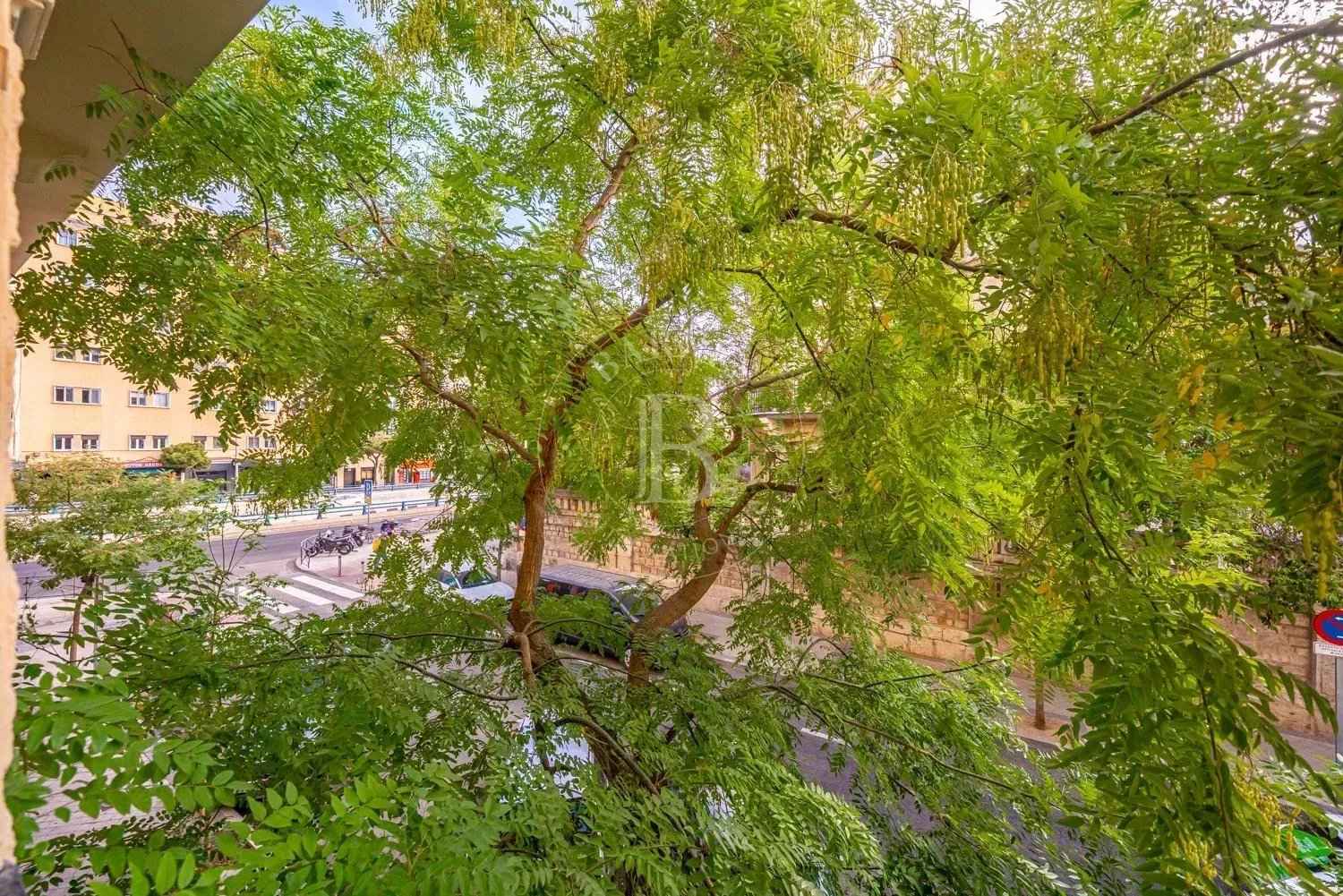 D4552f29fe1ce6328579b32736883e7b 48830a54ca 1500 original - Translation missing: en.helpers.application.image_tag.default_alt