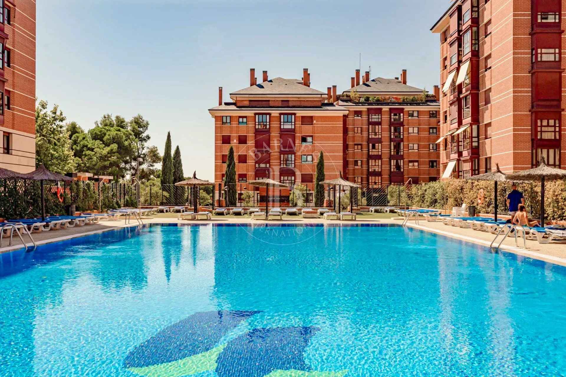 4a24cb8cae0f882954d99df00d62f2af 4c9a0b04bf 1920 original - Translation missing: en.helpers.application.image_tag.default_alt