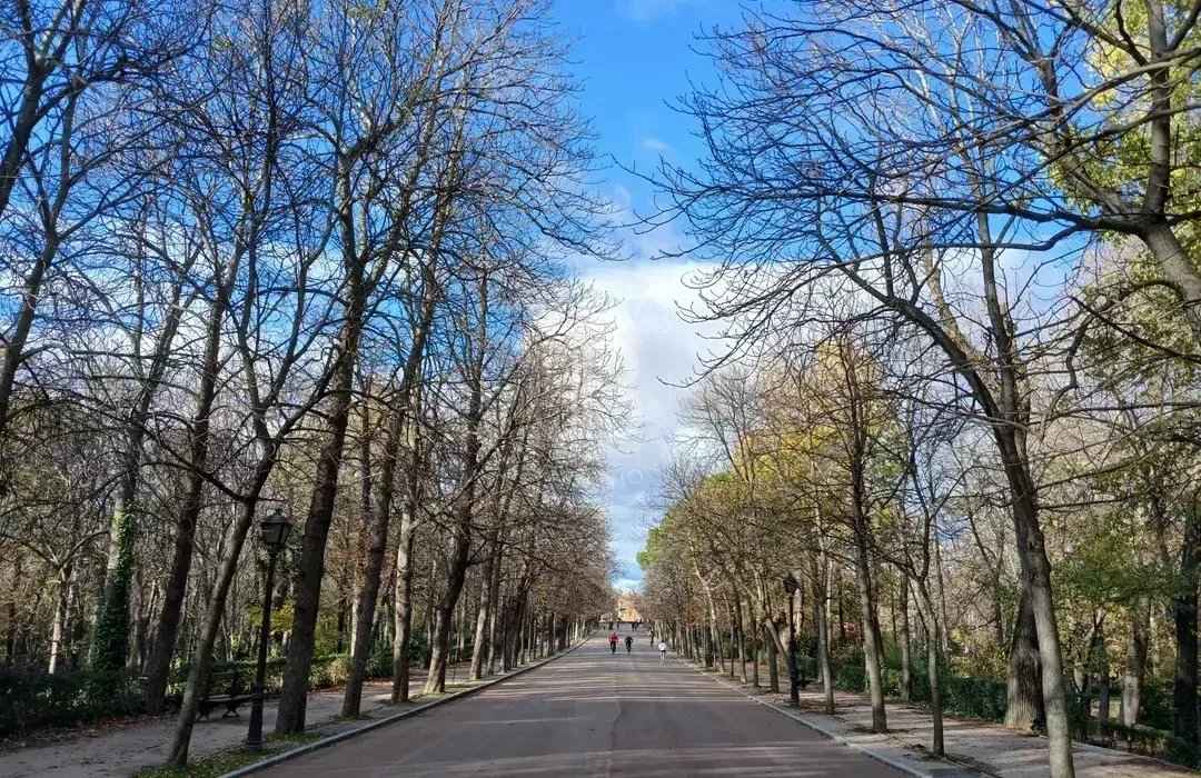 Fdad8743baeb72d488e260eeb589945d cd17905fed 1080 original - Translation missing: en.helpers.application.image_tag.default_alt