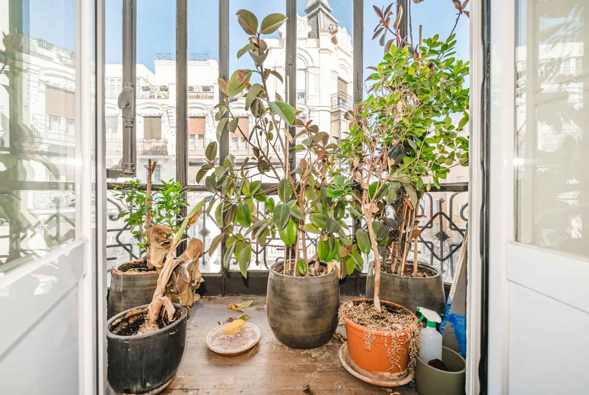 5463599d4c8f10e348506d66af239f97 6826f075d1 1920 original - Attribut alt par défaut.