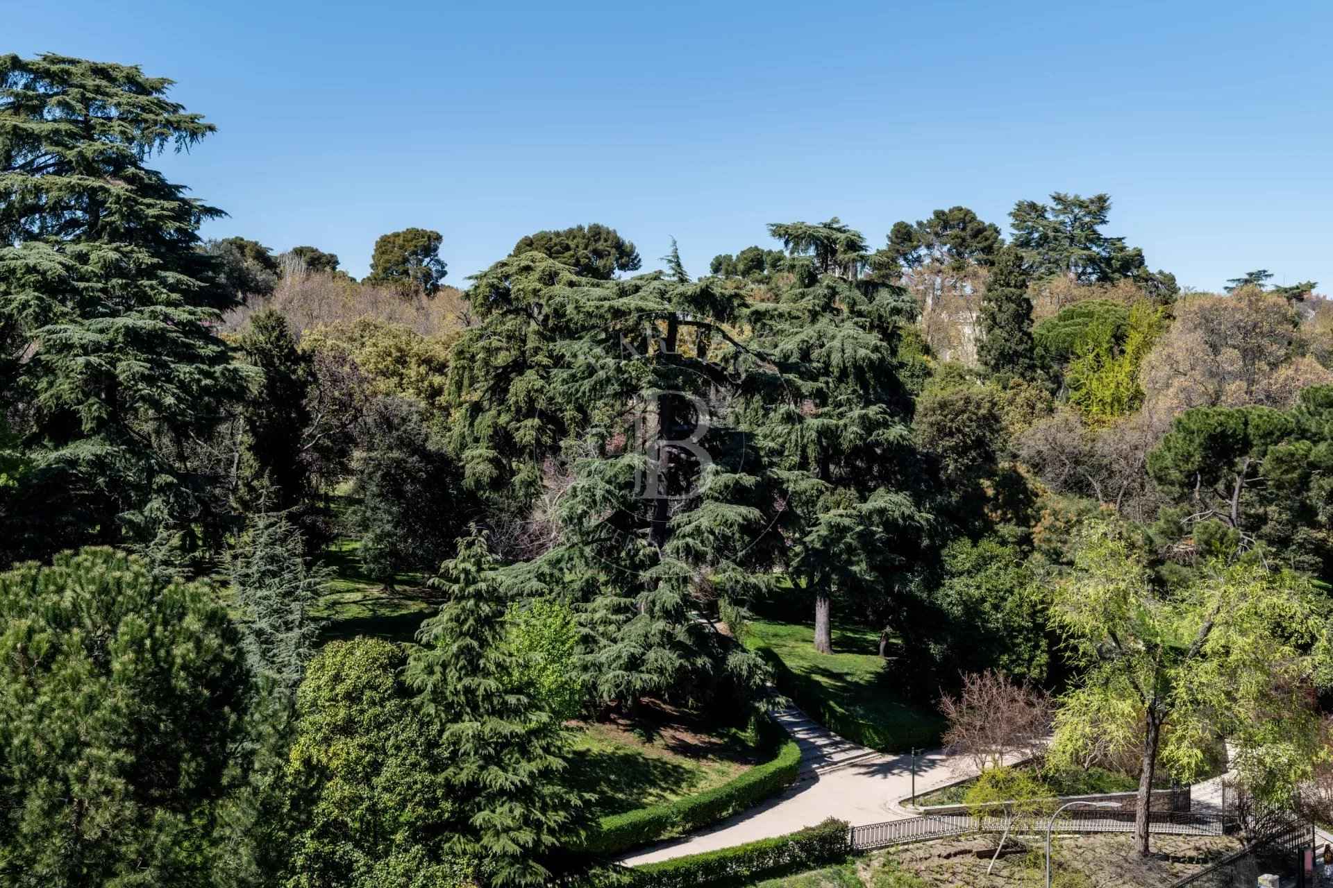 06ae001ecddefe406a17775a500816ea 648bb0818c 1920 original - Attribut alt par défaut.