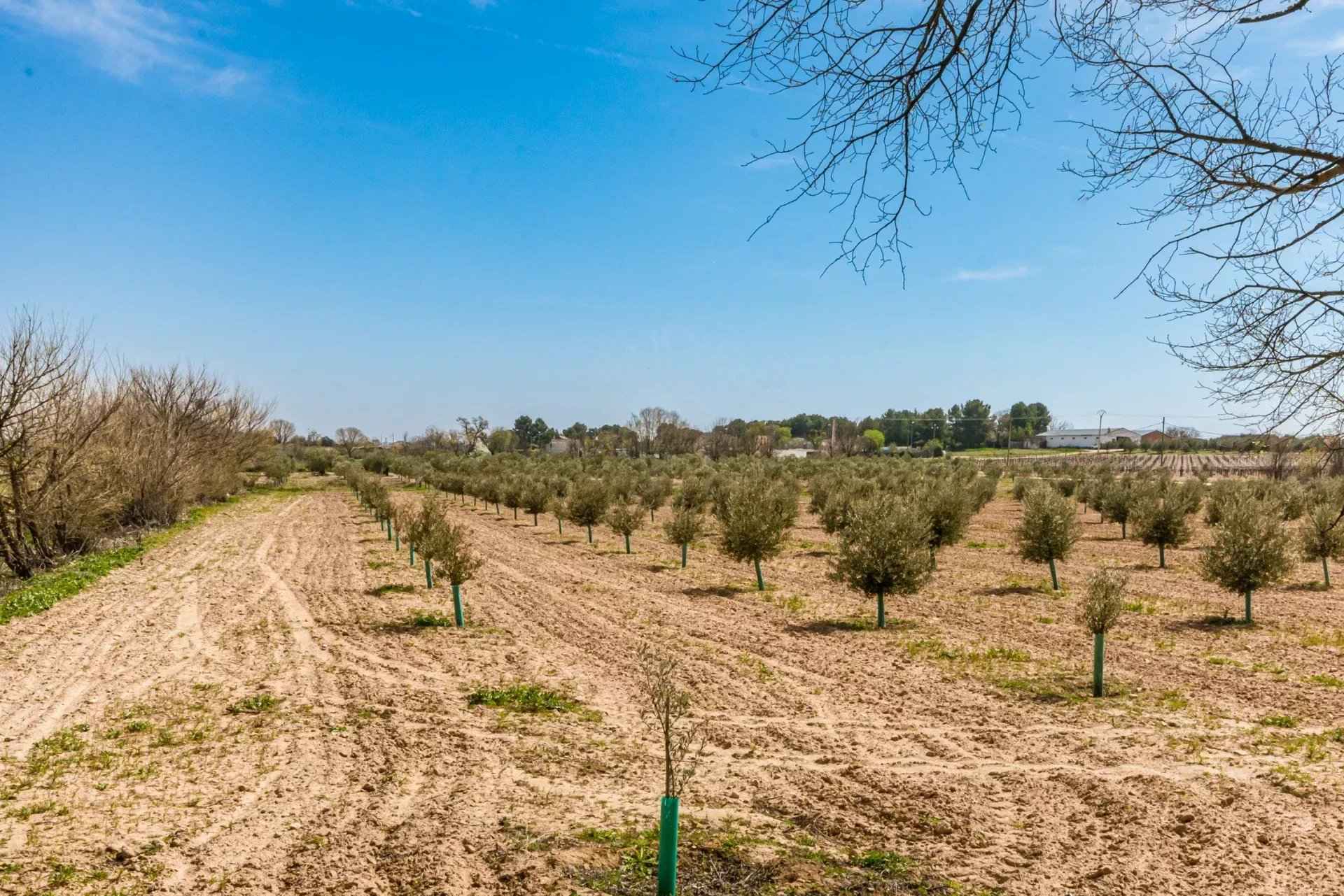 7ad59fcd06b677ec76f43edd75211c18 833dd169cd 1920 original - Attribut alt par défaut.