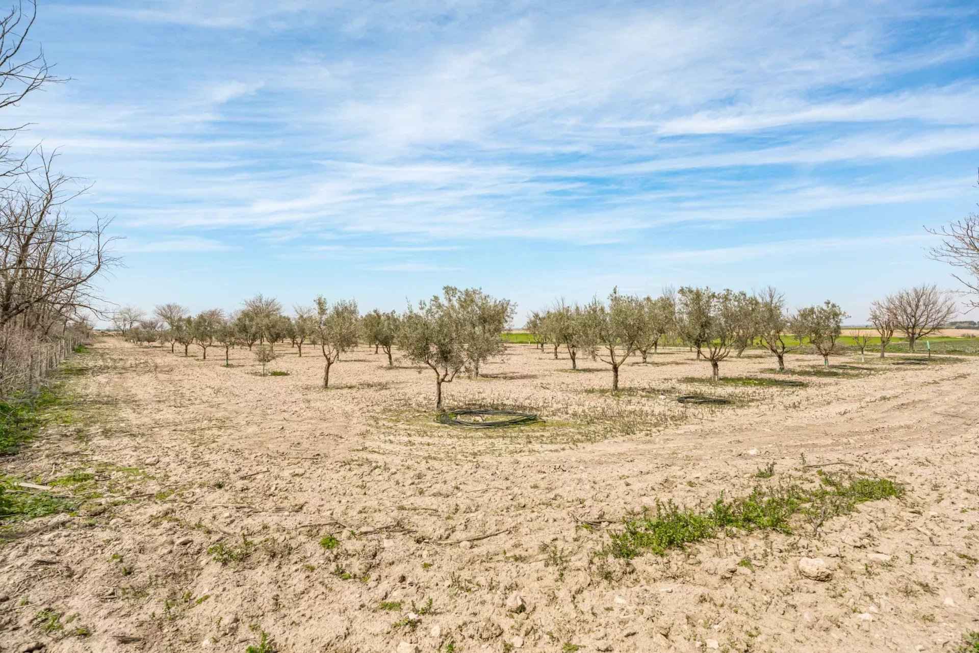 E6e6bec8748e96fbb9b55c8a34c8b7ca d969667c90 1920 original - Attribut alt par défaut.