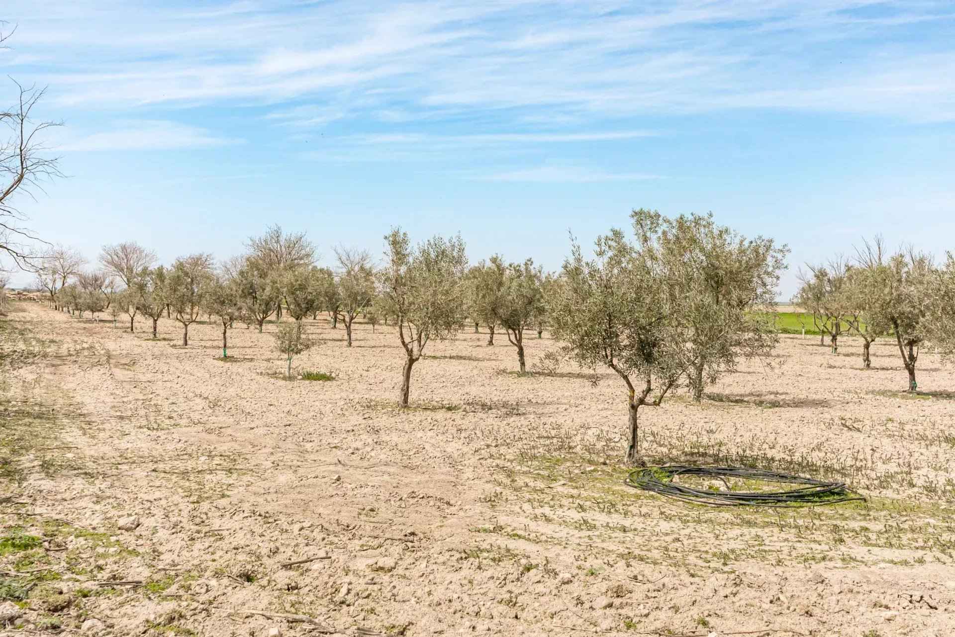 E03745e3820430518f5f6acd664c2706 13288a75a0 1920 original - Attribut alt par défaut.