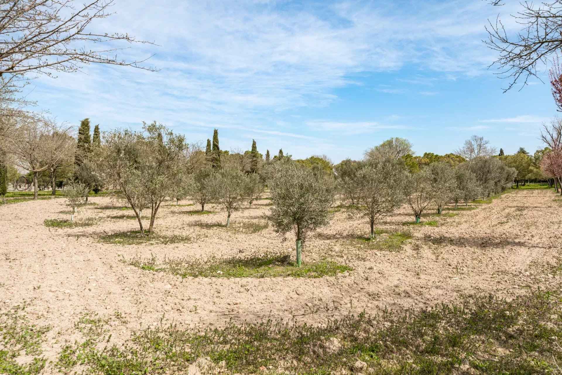 E2b9d3976ef813dbc0a612410091800e 627384b668 1920 original - Attribut alt par défaut.