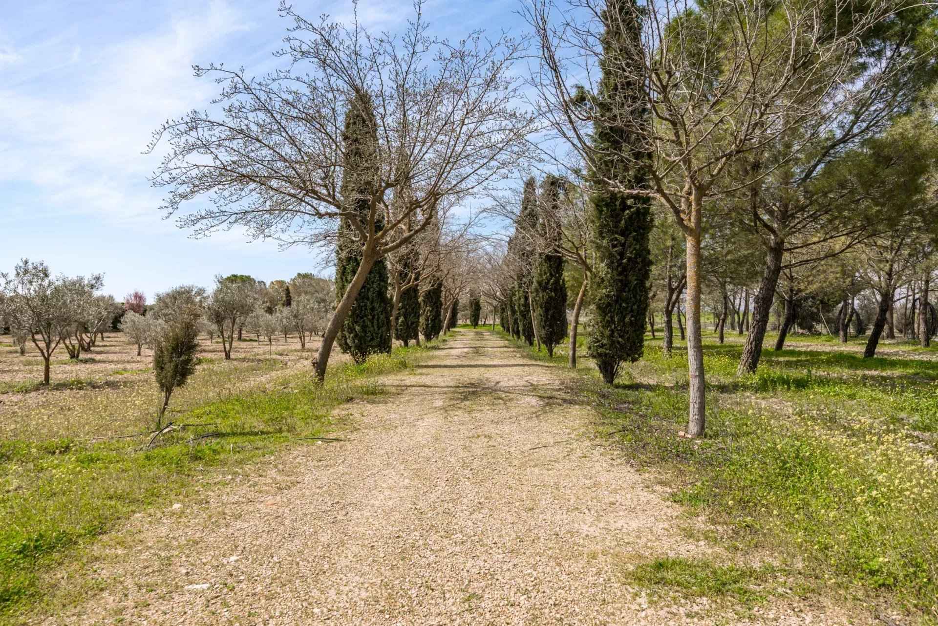 B58553a2908a1182ecaf188416497474 ca07823008 1920 original - Attribut alt par défaut.