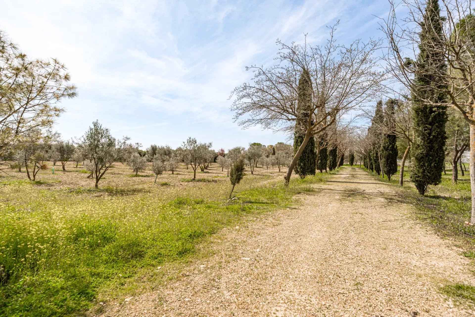 E43cc60d240107aee7b82017a2f2ebc8 b819490d54 1920 original - Attribut alt par défaut.