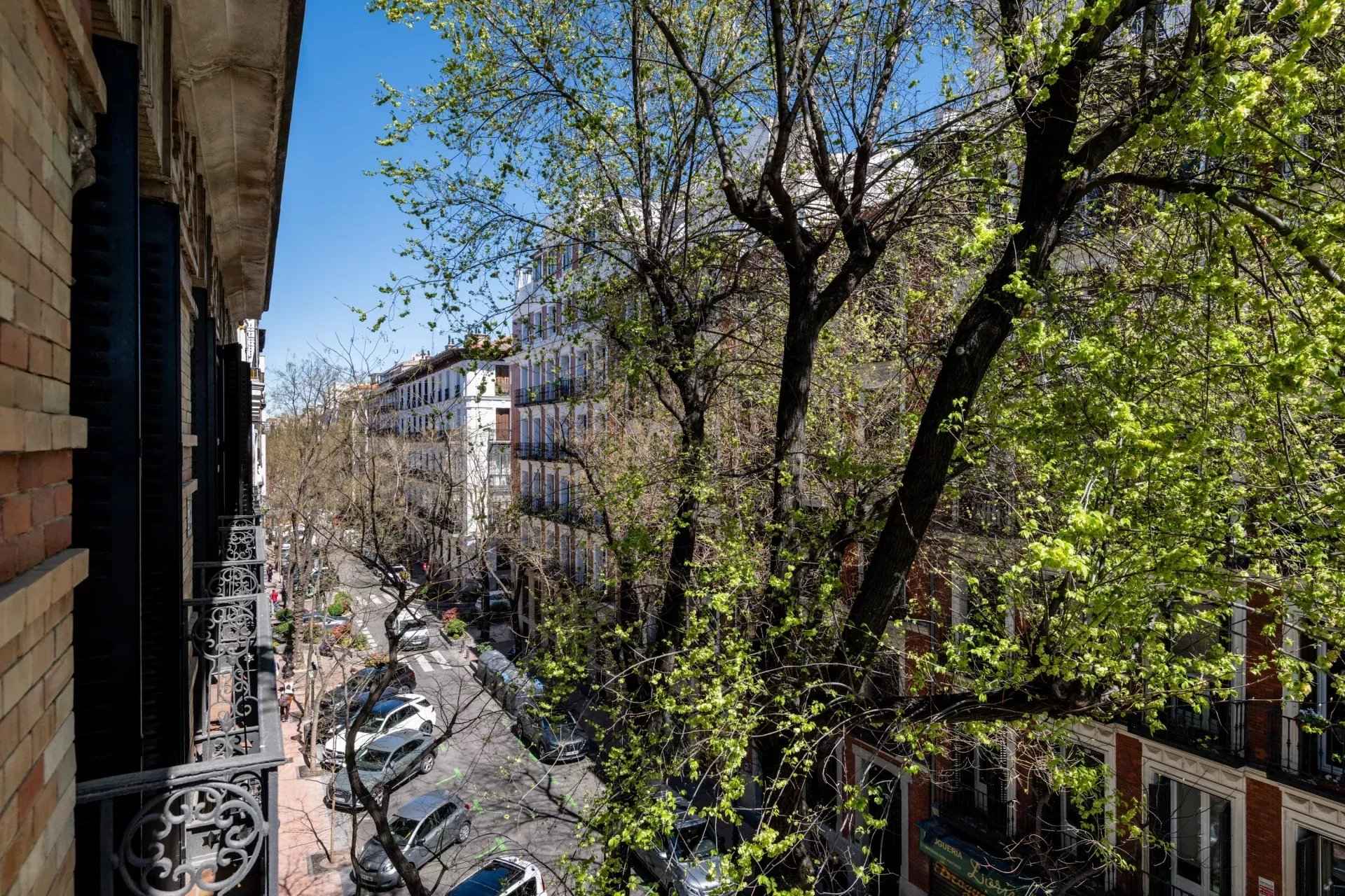 E32527ca83474172d929465f4218d14c 9e2c7c4d2d 1920 original - Attribut alt par défaut.