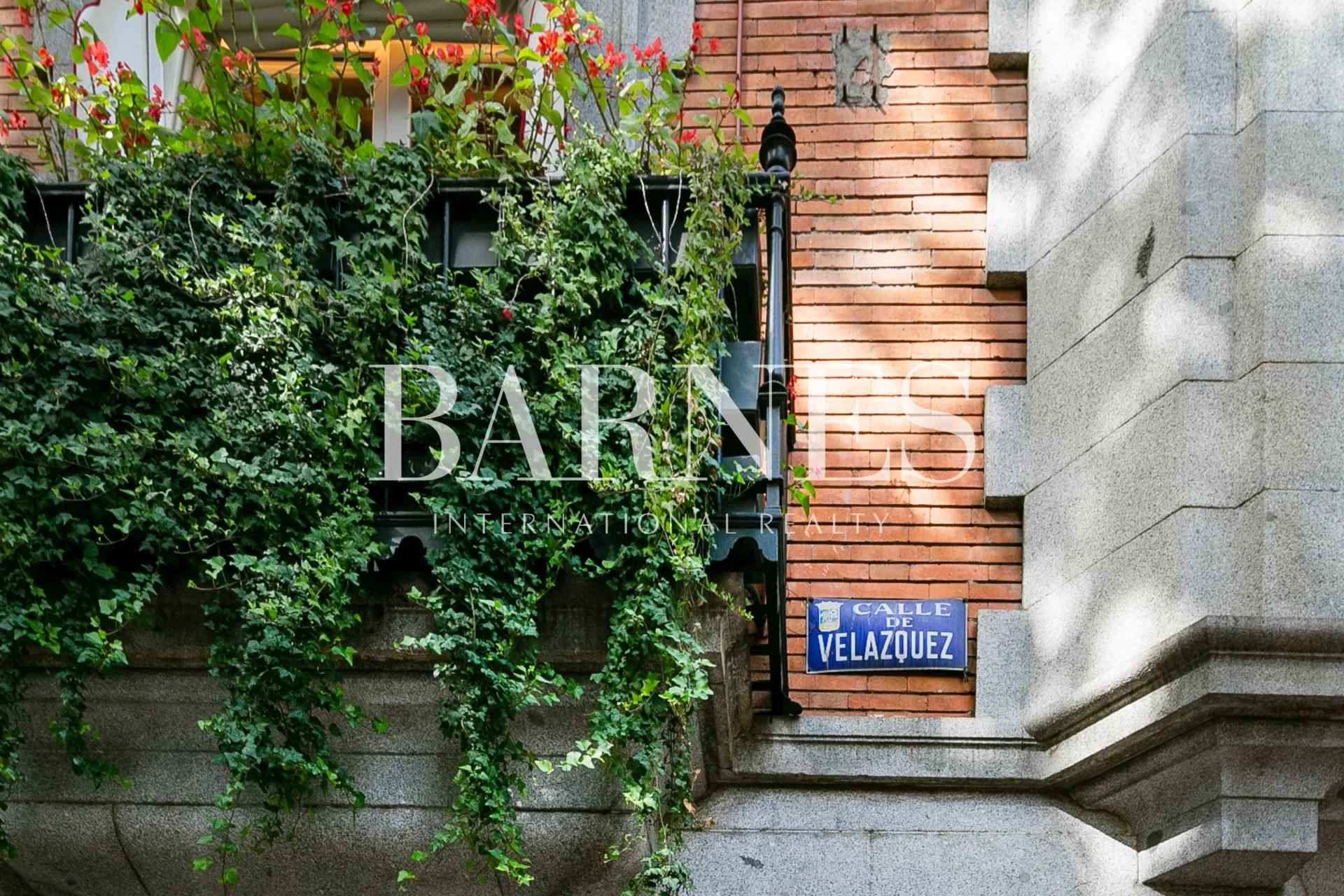 Fd8770533f329e32211ad9a338226850 5a0c48f11c 1920 original - Translation missing: en.helpers.application.image_tag.default_alt