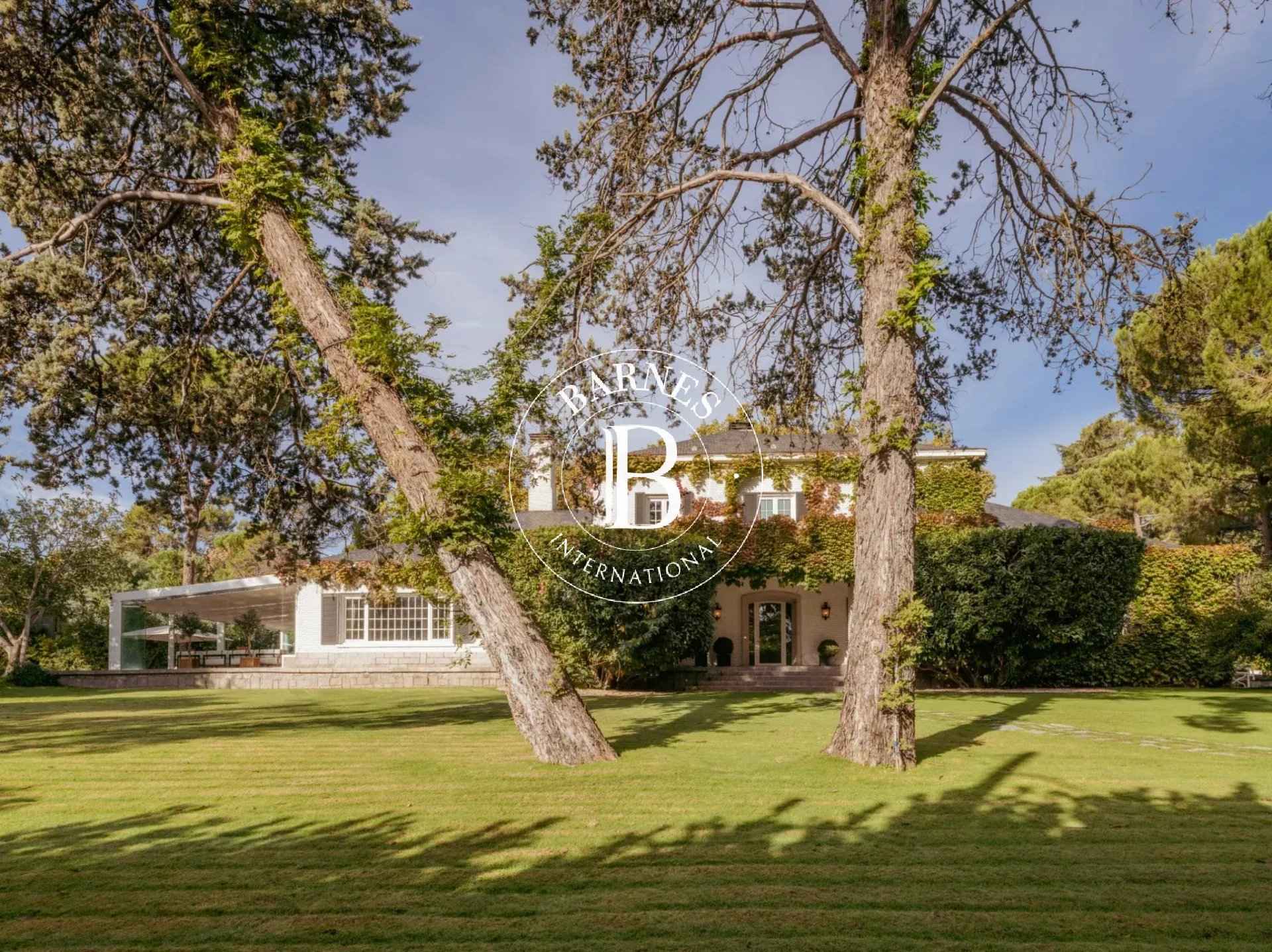 Ef8564021a245eaad8a9e7dd619a917b 856a0e301a 1920 original - Translation missing: en.helpers.application.image_tag.default_alt