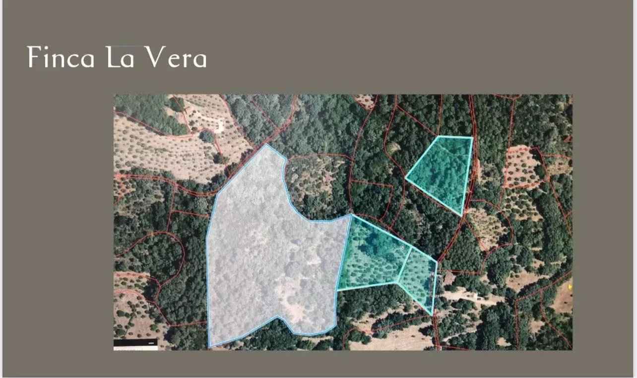 Cce0c4b3dc4091ecb67a5b0c3b4ec34a a51cf54d28 1284 original - Translation missing: en.helpers.application.image_tag.default_alt