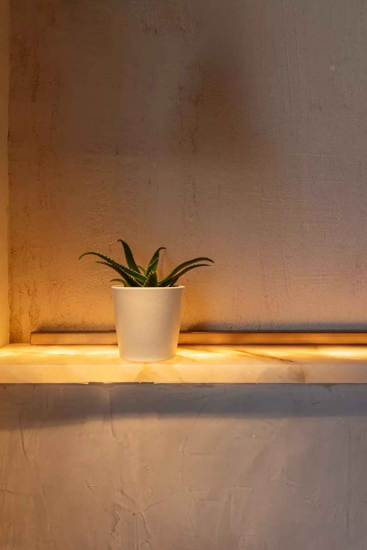 Eacf3f99ef89f4e7fad2e3077c992a78 b00477b65f 1920 original - Attribut alt par défaut.