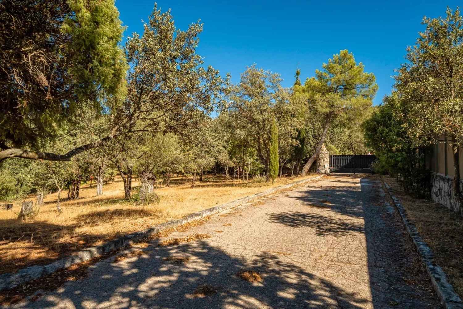 Db8d8c5aadaff5daaf0c5d26c8714168 d734295be2 1500 original - Attribut alt par défaut.