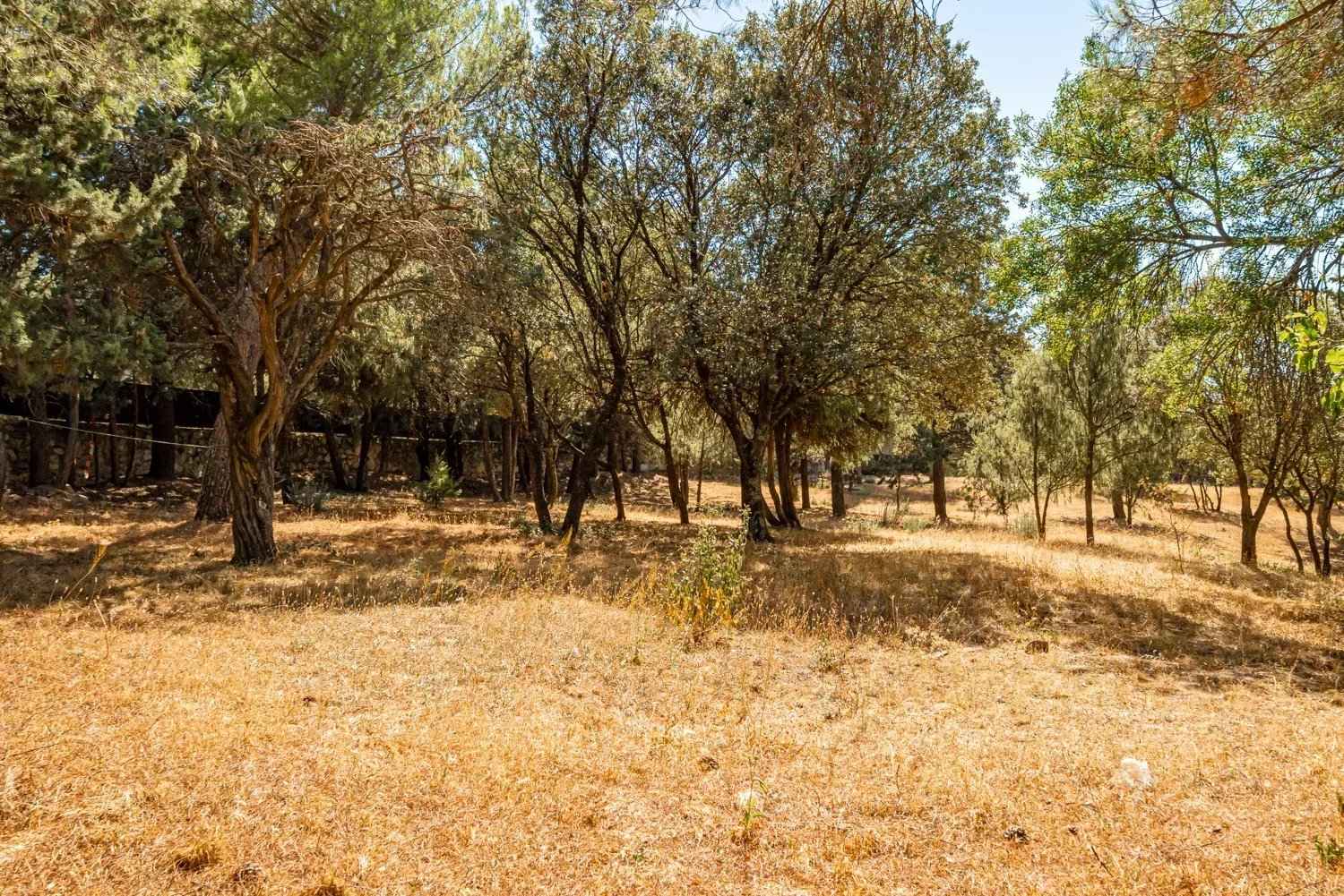 9678800e6aef6ab083ae77407fe196be 0416bebb42 1500 original - Attribut alt par défaut.