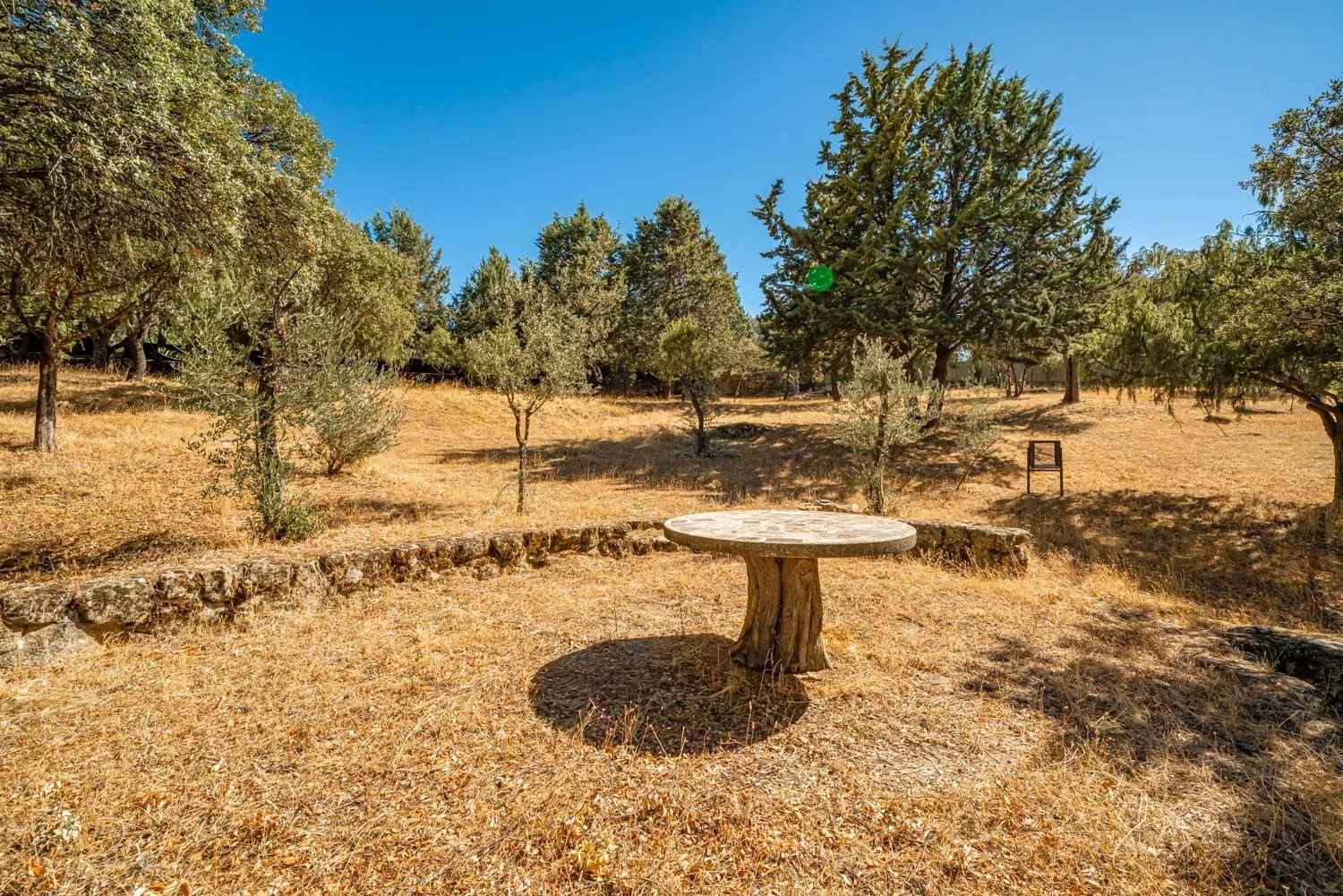 F3a9d1b218e328feb8c2cf1b2d9885da 81930905ac 1500 original - Attribut alt par défaut.