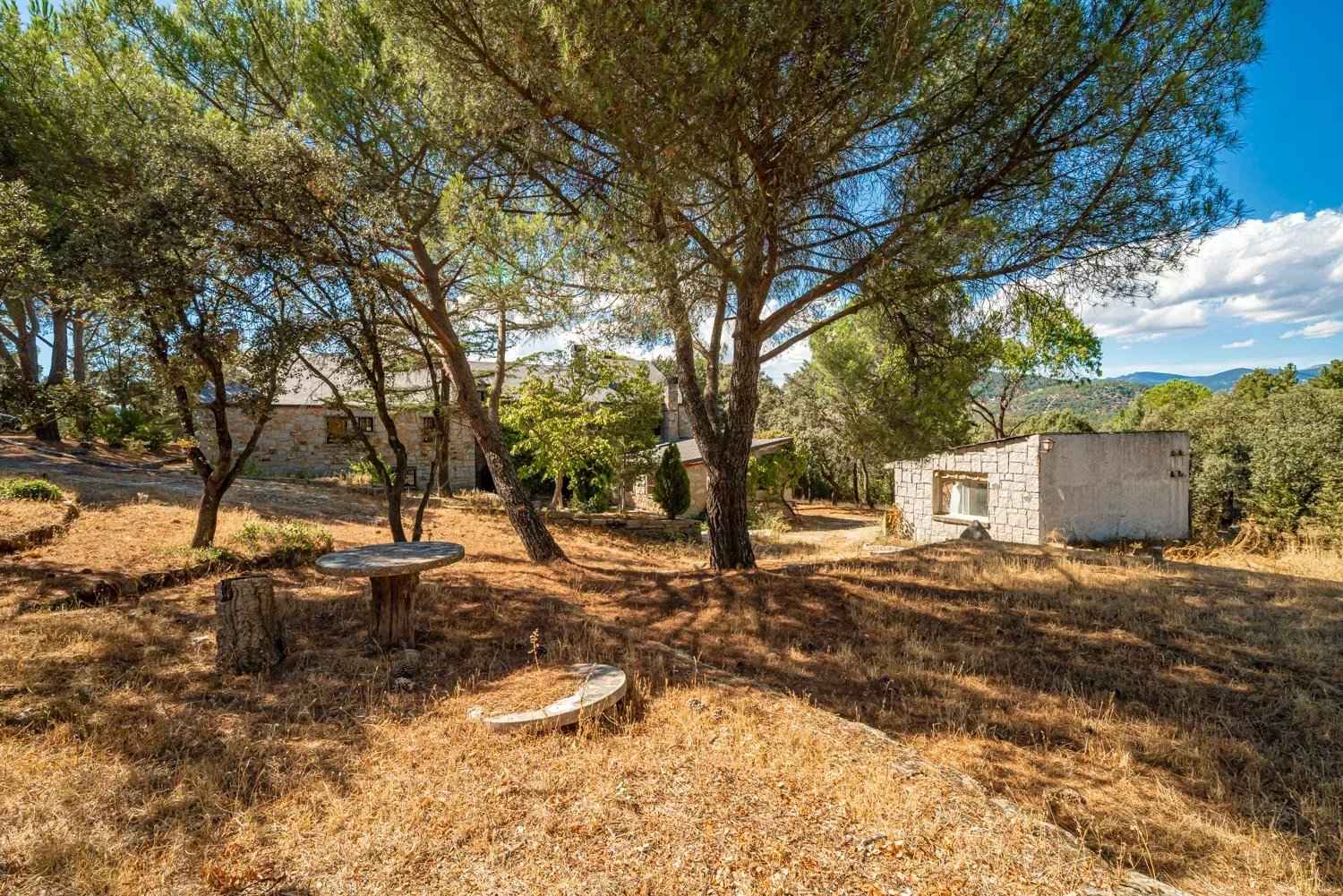 553874cd25e982e39b10e99dd22bce40 f2af9fa8b8 1500 original - Attribut alt par défaut.