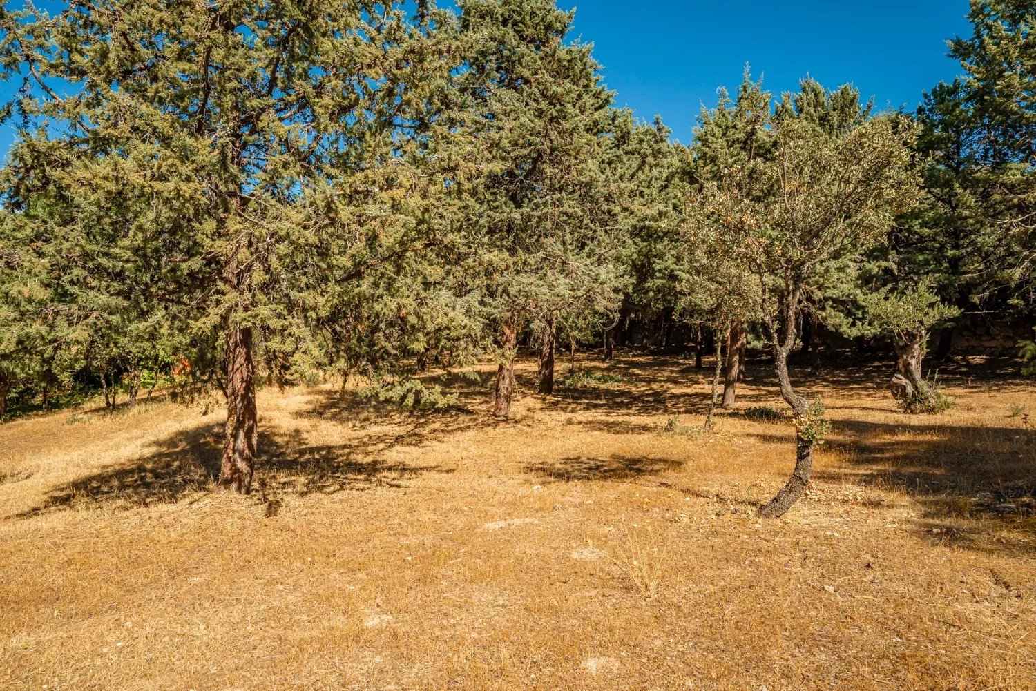 95240dc805f5aa7738d2434b90e72eeb 1ac31ffb2e 1500 original - Attribut alt par défaut.