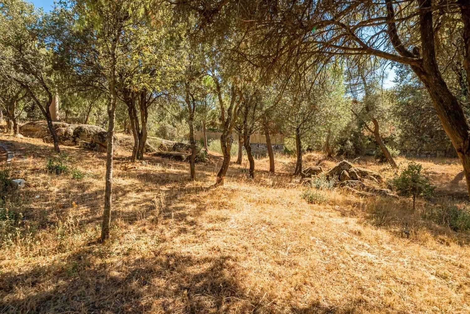 Caefb7f169b8109fc2f91ecefde3a28a 7034c00607 1500 original - Attribut alt par défaut.