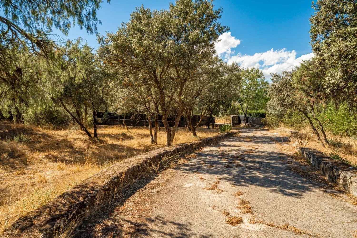 76cebfc4391d780af90c49f7697e9843 0baf34c5b3 1500 original - Attribut alt par défaut.