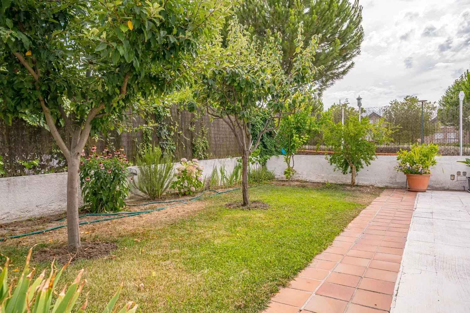 Cefc613a00a7e067168119fa26f18fe9 31830eb039 1500 original - Translation missing: en.helpers.application.image_tag.default_alt