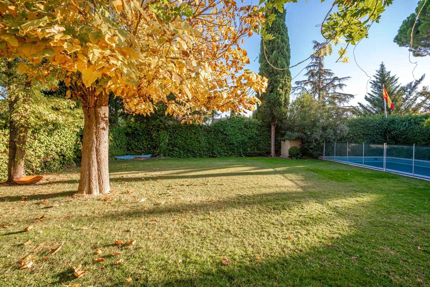 9c8fc4f8049525d2e99db32dbb82c608 fc1f2e46bf 1500 original - Attribut alt par défaut.