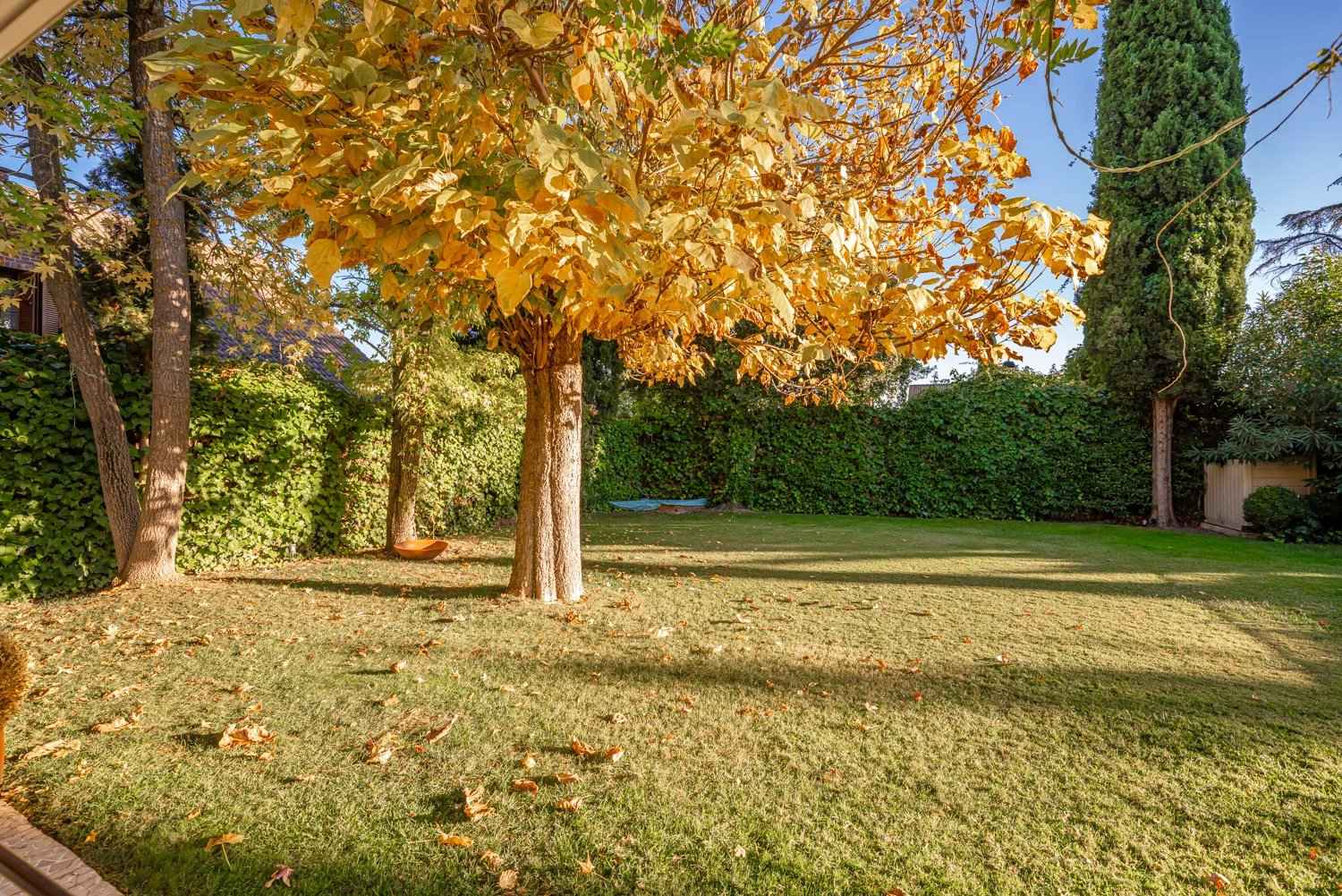 272e49f4bd7c0f810fe819187ced309f 7e86d1ee81 1500 original - Attribut alt par défaut.