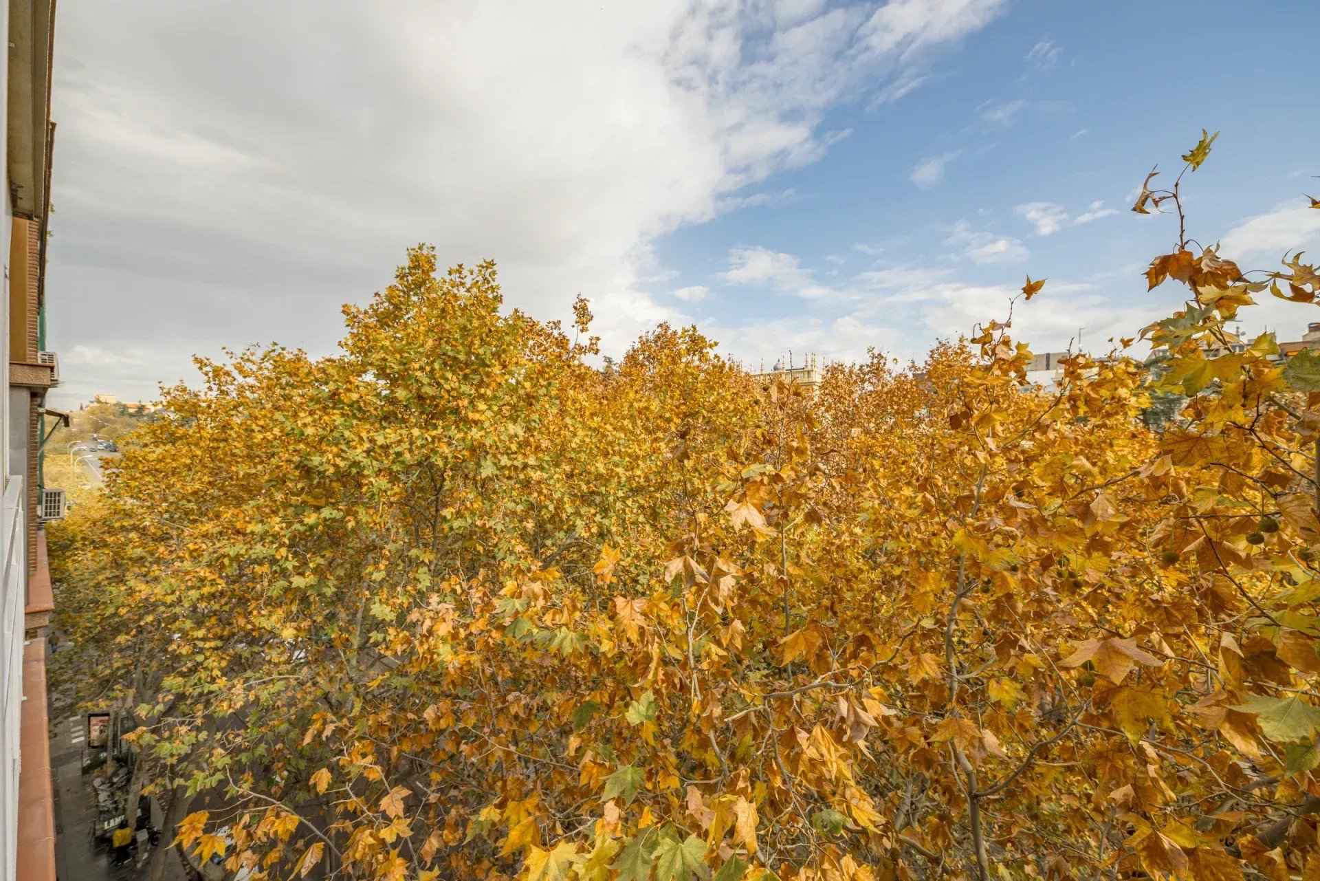 6fab127d6492168d628788cc44841340 d0ab2c729f 1920 original - Translation missing: en.helpers.application.image_tag.default_alt