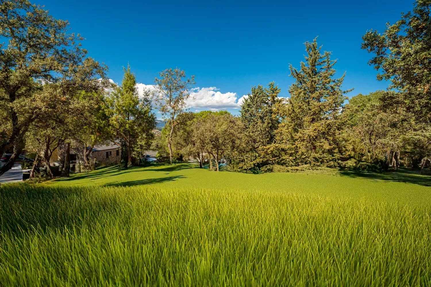 4ab3a763b32e066f663bab333b0118e1 a5b59f943a 1500 original - Translation missing: en.helpers.application.image_tag.default_alt