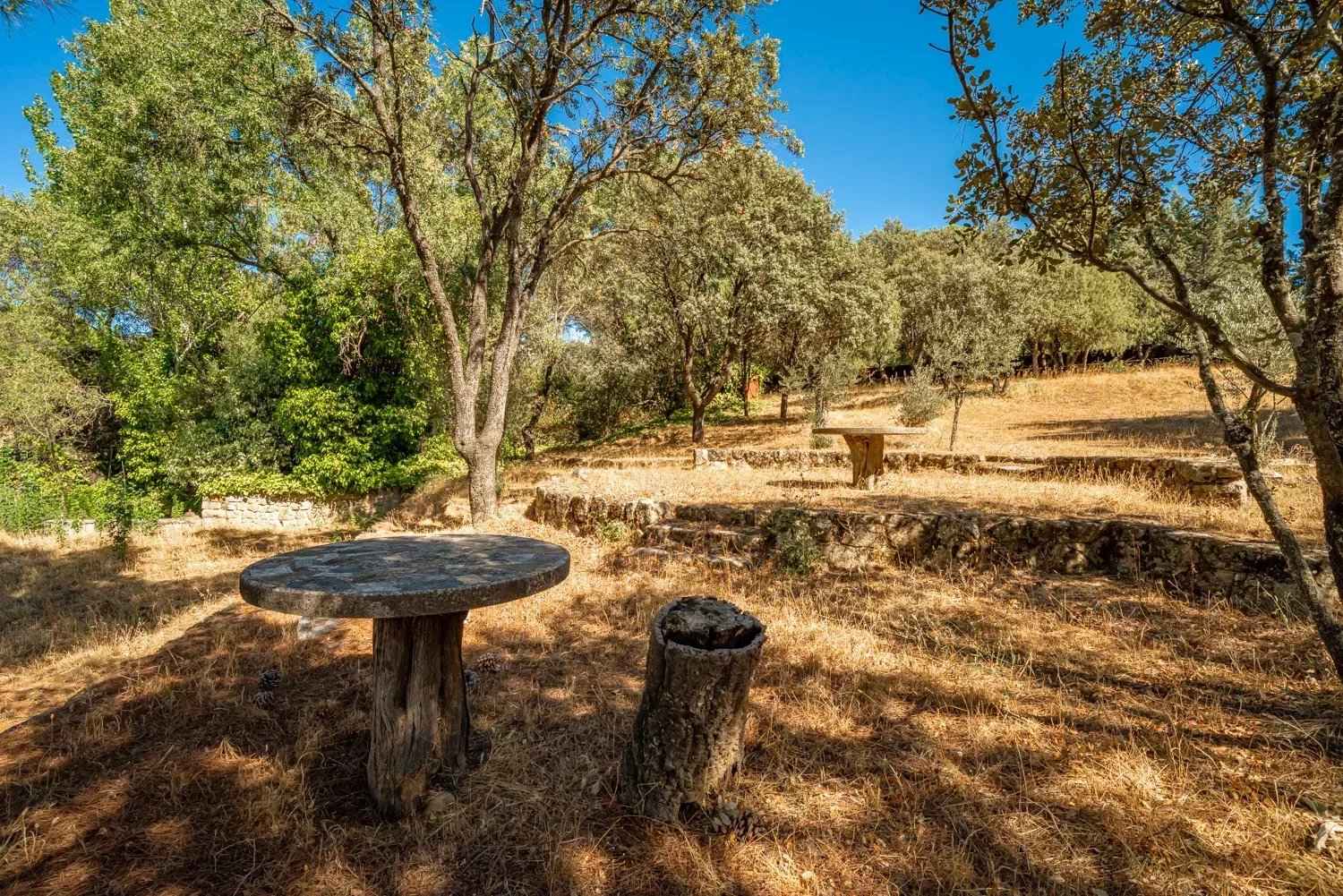 52a46b4311c9d41241fbaed80257bafc 6b1d9ab4d5 1500 original - Translation missing: en.helpers.application.image_tag.default_alt