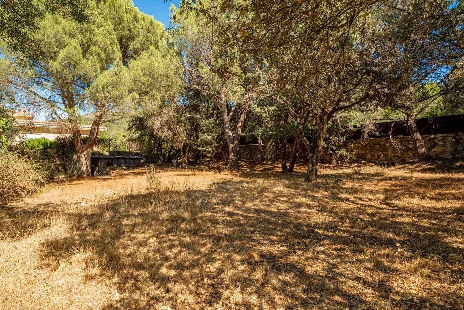 69181a90f7f4e7324b9807d49ed83697 b860360235 1500 original - Translation missing: en.helpers.application.image_tag.default_alt