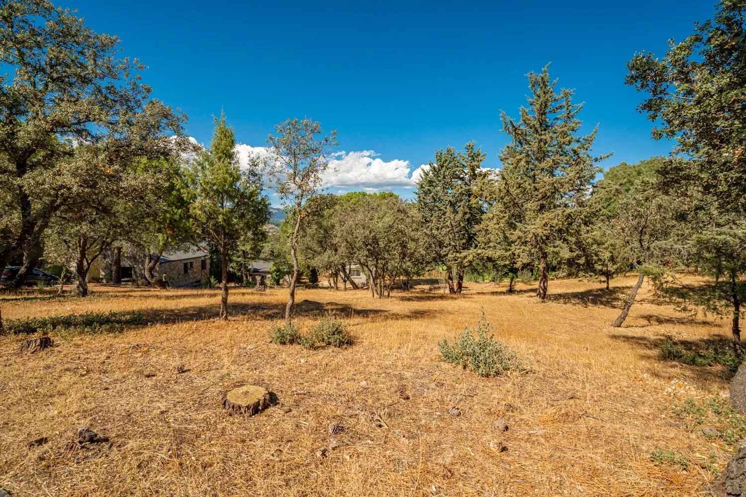 308bcfa98d4fbe7bfb7a3ebfcddc0875 785c5c67a5 1500 original - Translation missing: en.helpers.application.image_tag.default_alt