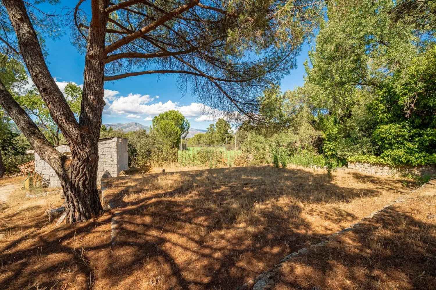 E504bea100f6588a3eaa5861fdadbe89 ae66681e53 1500 original - Translation missing: en.helpers.application.image_tag.default_alt