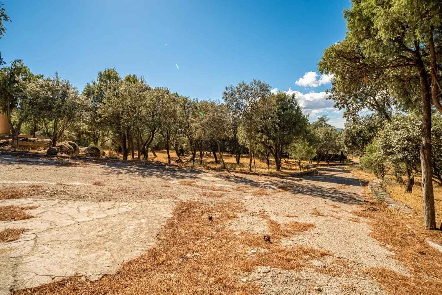 Fcd2259ca07d2d15e795813e292350d4 9fc8337ca1 1500 original - Translation missing: en.helpers.application.image_tag.default_alt