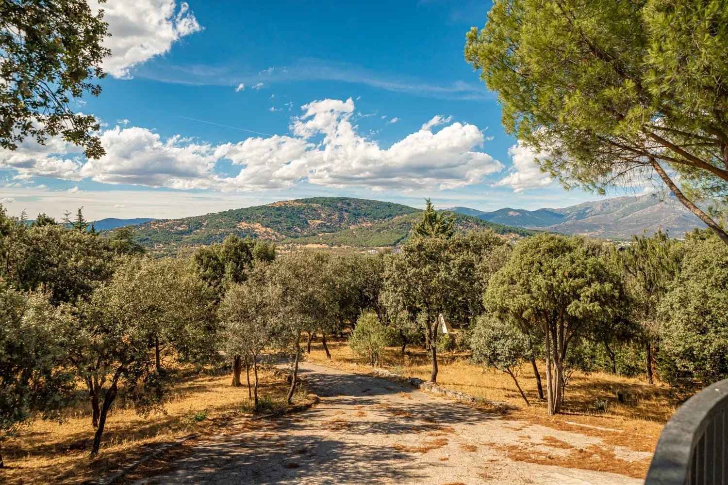 1715164610f53c20e2610d9c19194e13 7cba1f52f6 1500 original - Translation missing: en.helpers.application.image_tag.default_alt