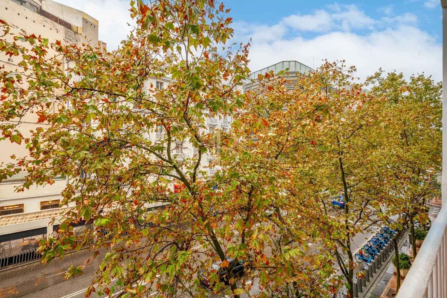 04883d6f28012154110f115976d709dd 366d1a5a86 1500 original - Attribut alt par défaut.